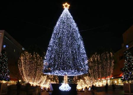  photo 495878-bigthumbnail.jpg