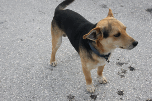  photo 1-1_zps6b936f51.gif