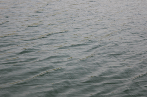  photo 2-2_zps7d0da2d3.gif