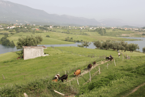  photo 4-1_zps0dda69f1.gif