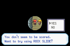 Pokemon-FireRed_13.png