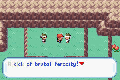 Pokemon-FireRed_022.png