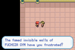 Pokemon-FireRed_11-3.png
