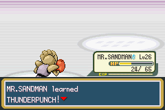 Pokemon-FireRed_13-2.png