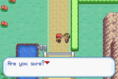 Pokemon-FireRed_182.png