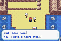 Pokemon-FireRed_21-3.png