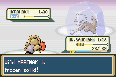 Pokemon-FireRed_23-2.png