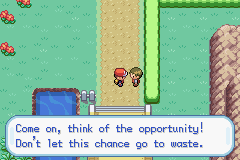 Pokemon-FireRed_232.png