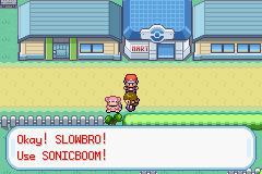 Pokemon-FireRed_28.png