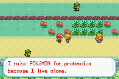 Pokemon-FireRed_30-2.png