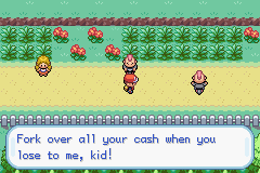 Pokemon-FireRed_33-2.png