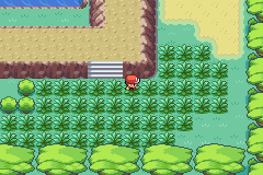 Pokemon-FireRed_40-1.png