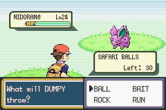 Pokemon-FireRed_41-1.png
