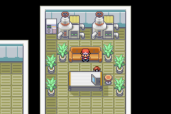 Pokemon-FireRed_76.png