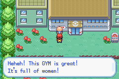 Pokemon-FireRed_81-1.png