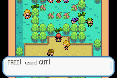 Pokemon-FireRed_89-1.png