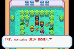Pokemon-FireRed_97-1.png