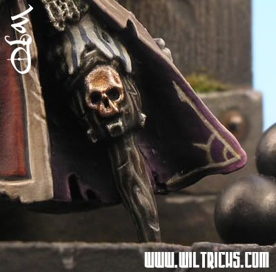 Warhammer,Dreadfleet,Sartosa,Pirate,Captain,Wiltrichs
