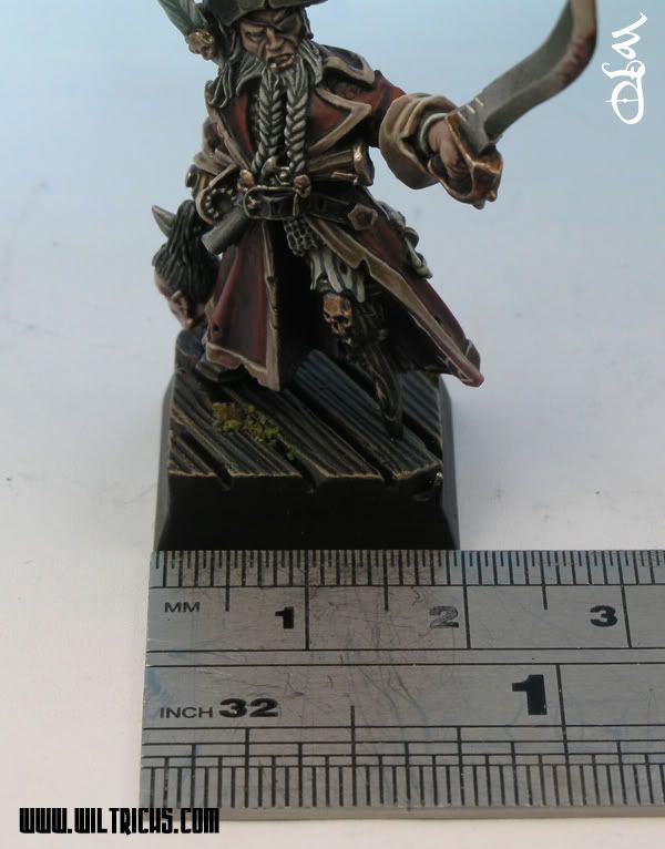 Warhammer,Dreadfleet,Sartosa,Pirate,Captain,Wiltrichs