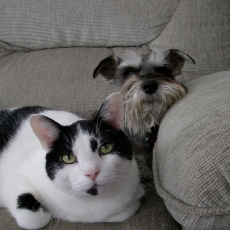 Too cute!