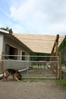 new goat area being built on side of barn