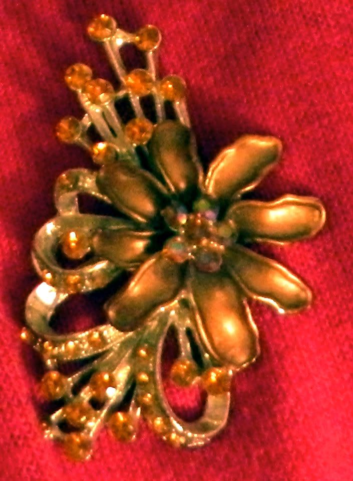 DSCN0761