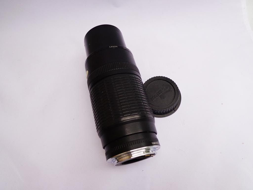 Canon EF 100 300mm F 5 6 Zoom Push Pull SLR Digital Lens