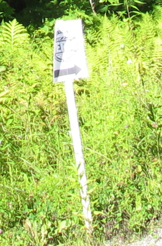 Posted Image