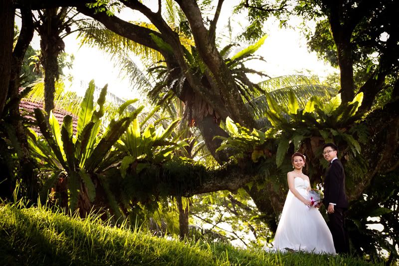 orangeframe,OrangeMarcus,pre-wedding,wedding,engagement