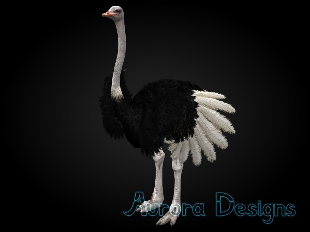 http://i911.photobucket.com/albums/ac320/auroradesigns_zootycoon/1278a79d.jpg