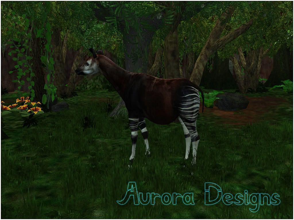 http://i911.photobucket.com/albums/ac320/auroradesigns_zootycoon/1640f990.jpg