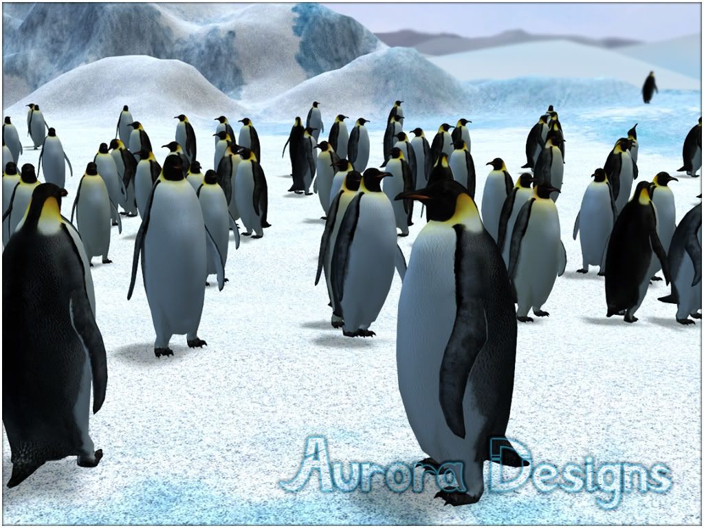 http://i911.photobucket.com/albums/ac320/auroradesigns_zootycoon/67a1a864.jpg