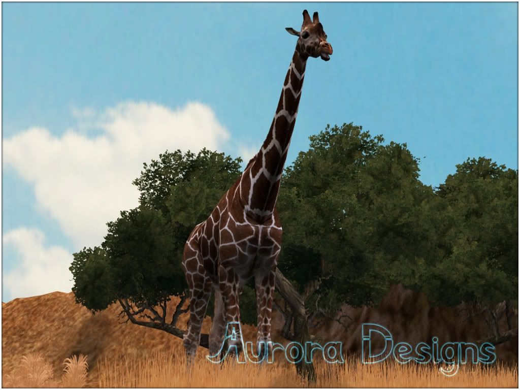 http://i911.photobucket.com/albums/ac320/auroradesigns_zootycoon/e0f7e566.jpg