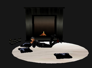 fw fireplace&amp;rug w/poses